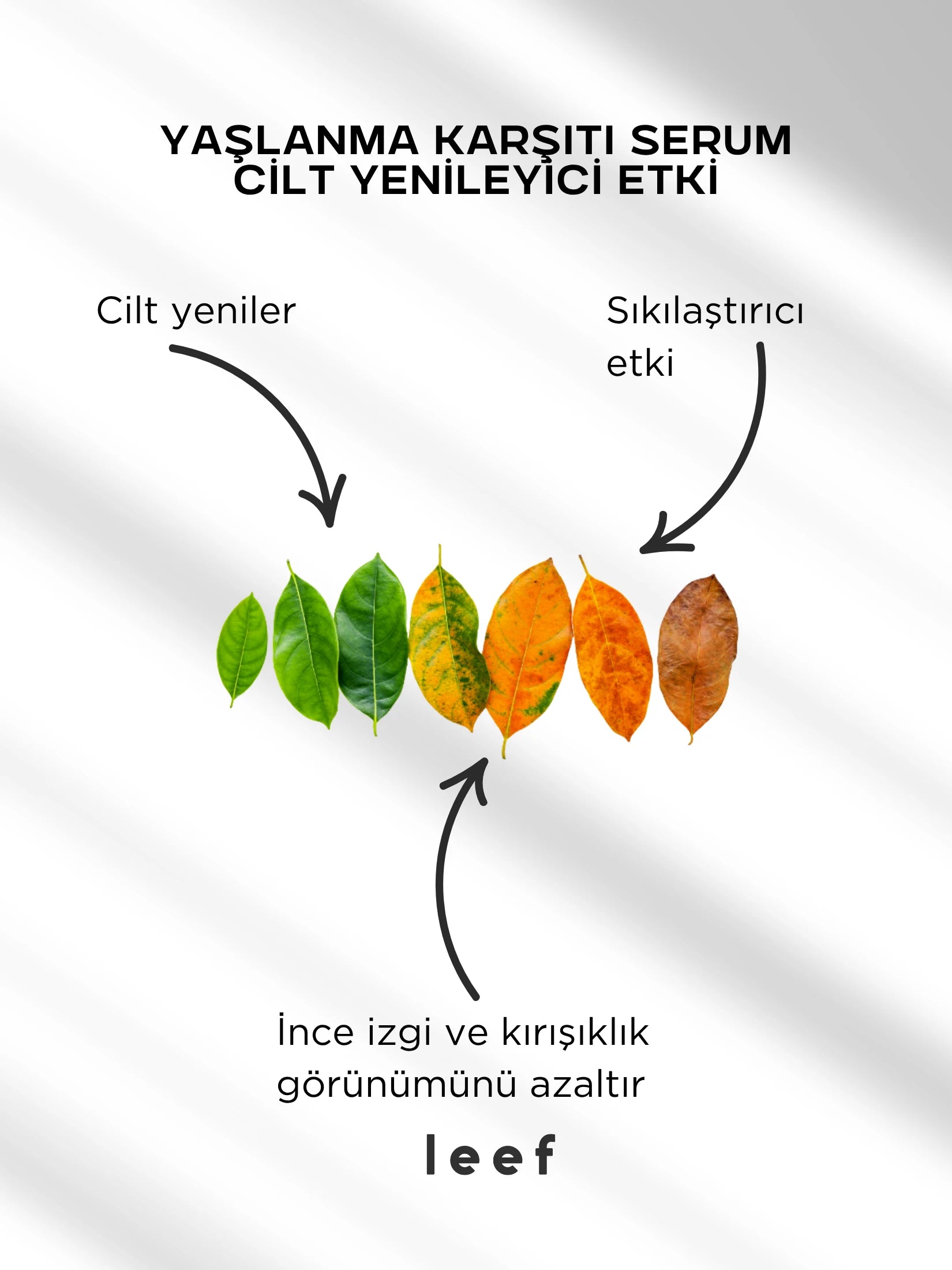 Retinol Peptide Serum | Su Bazlı Yenileyici & Sıkılaştırıcı Bakım