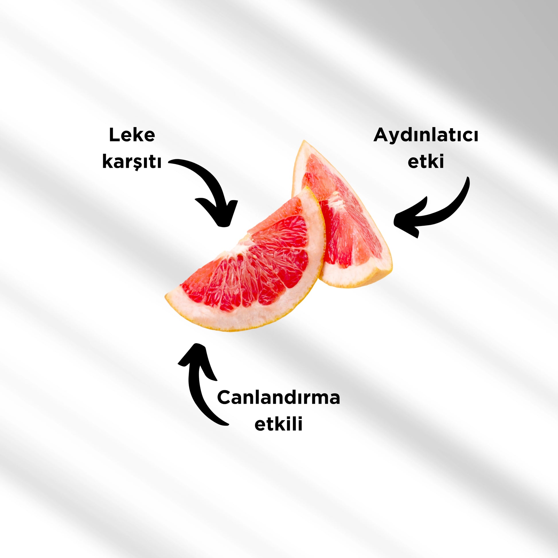 Ferulic C + E Vitamin Su Bazlı Cilt Serumu | Aydınlatıcı ve Antioksidan Cilt Bakımı