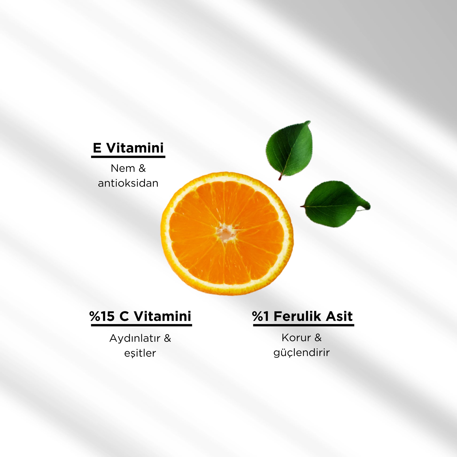 Ferulic C + E Vitamin Su Bazlı Cilt Serumu | Aydınlatıcı ve Antioksidan Cilt Bakımı