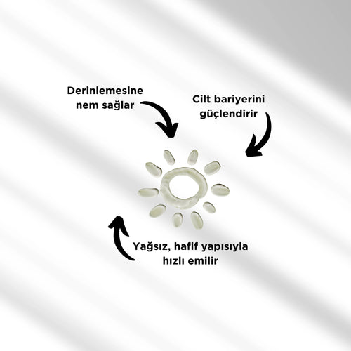 Multi Moisturizing Su Bazlı Krem | Derin Nemlendirme ve Cilt Bariyeri Güçlendirme